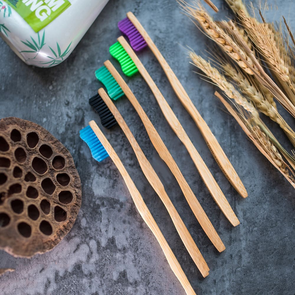 Brosse à dents en BAMBOU