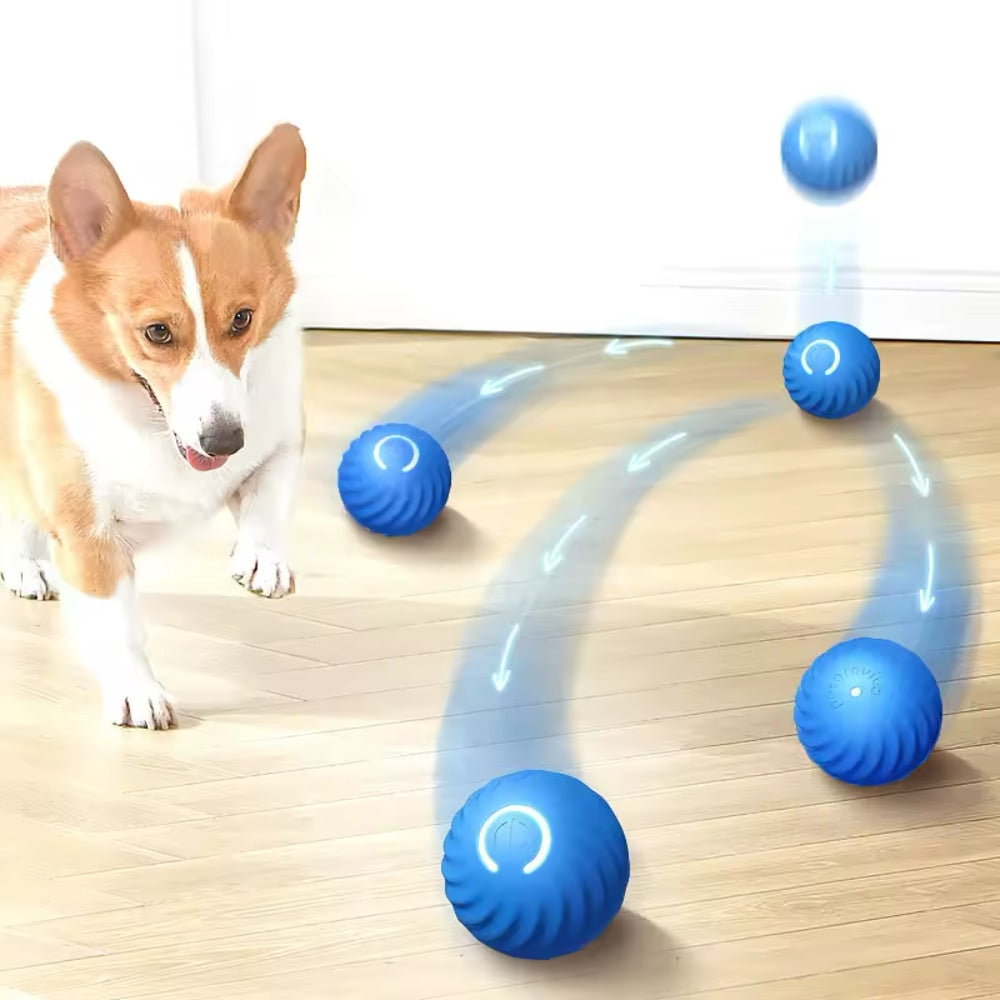 Balle intelligente interactive pour animaux