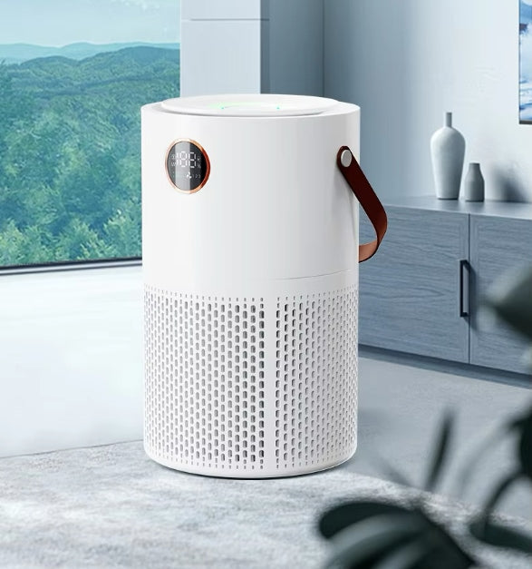 Purificateur d'air et ioniseur sans fil