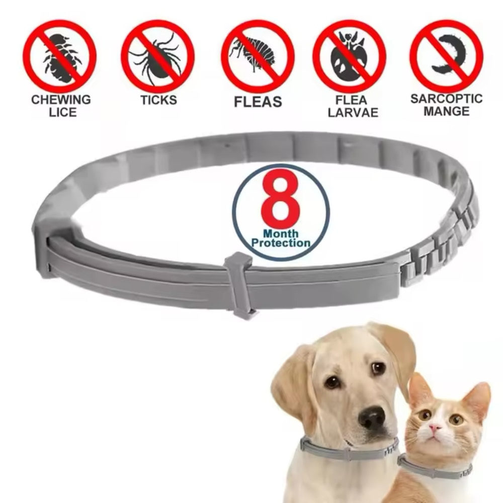 Collier antiparasite pour chiens et chats