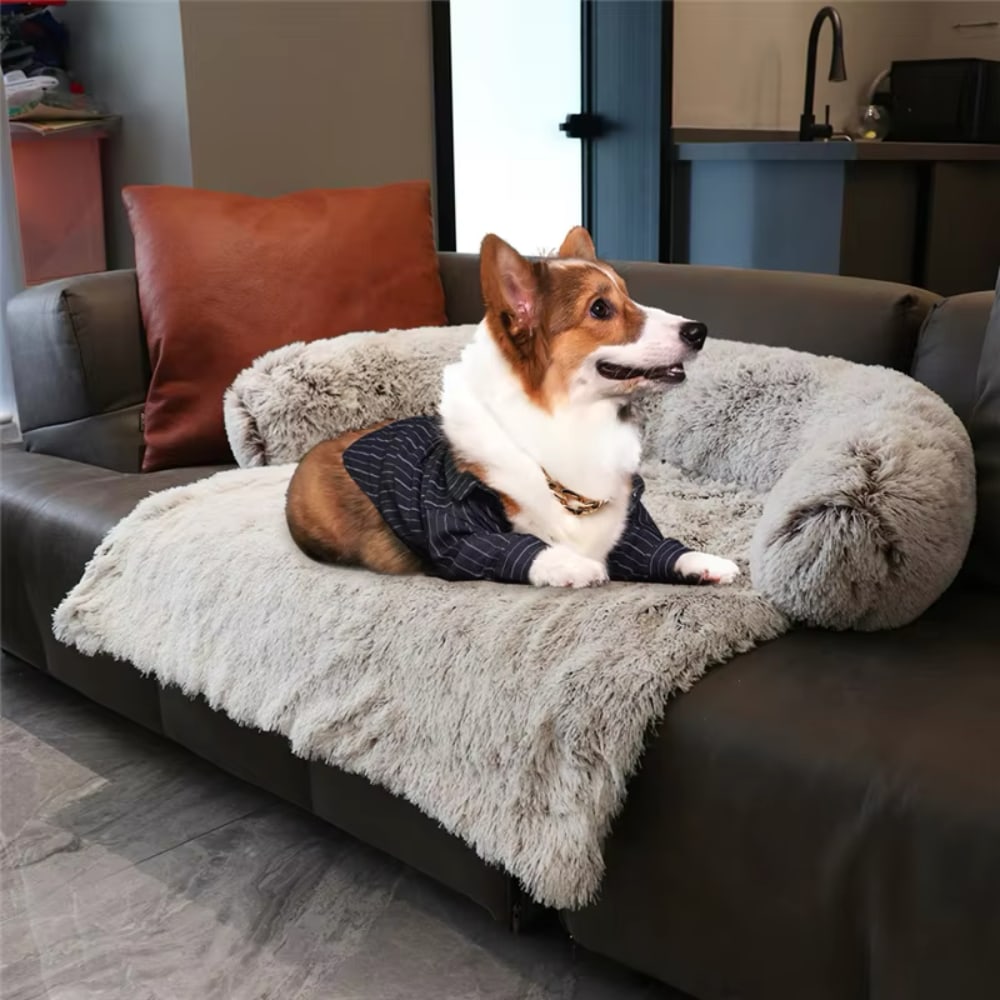 Panier polyvalent pour animaux de compagnie à la maison et dans la voiture