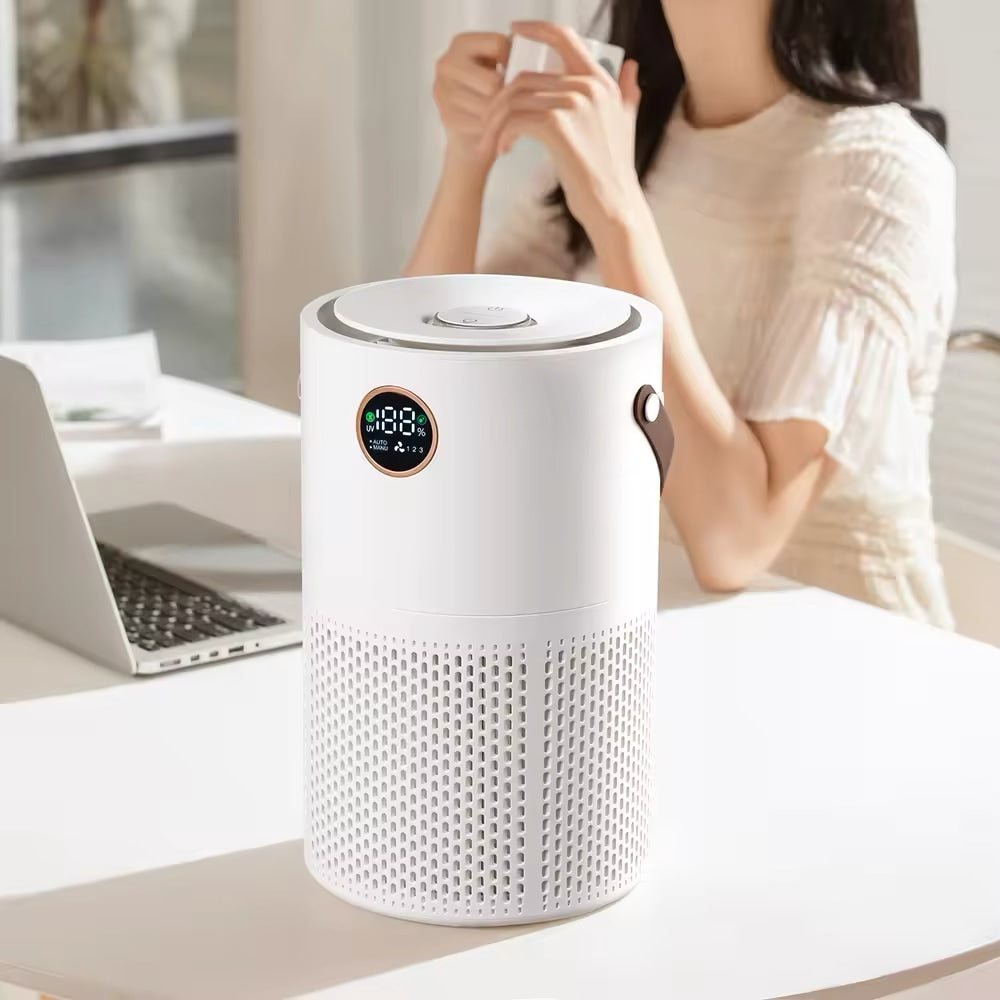 Purificateur d'air et ioniseur sans fil