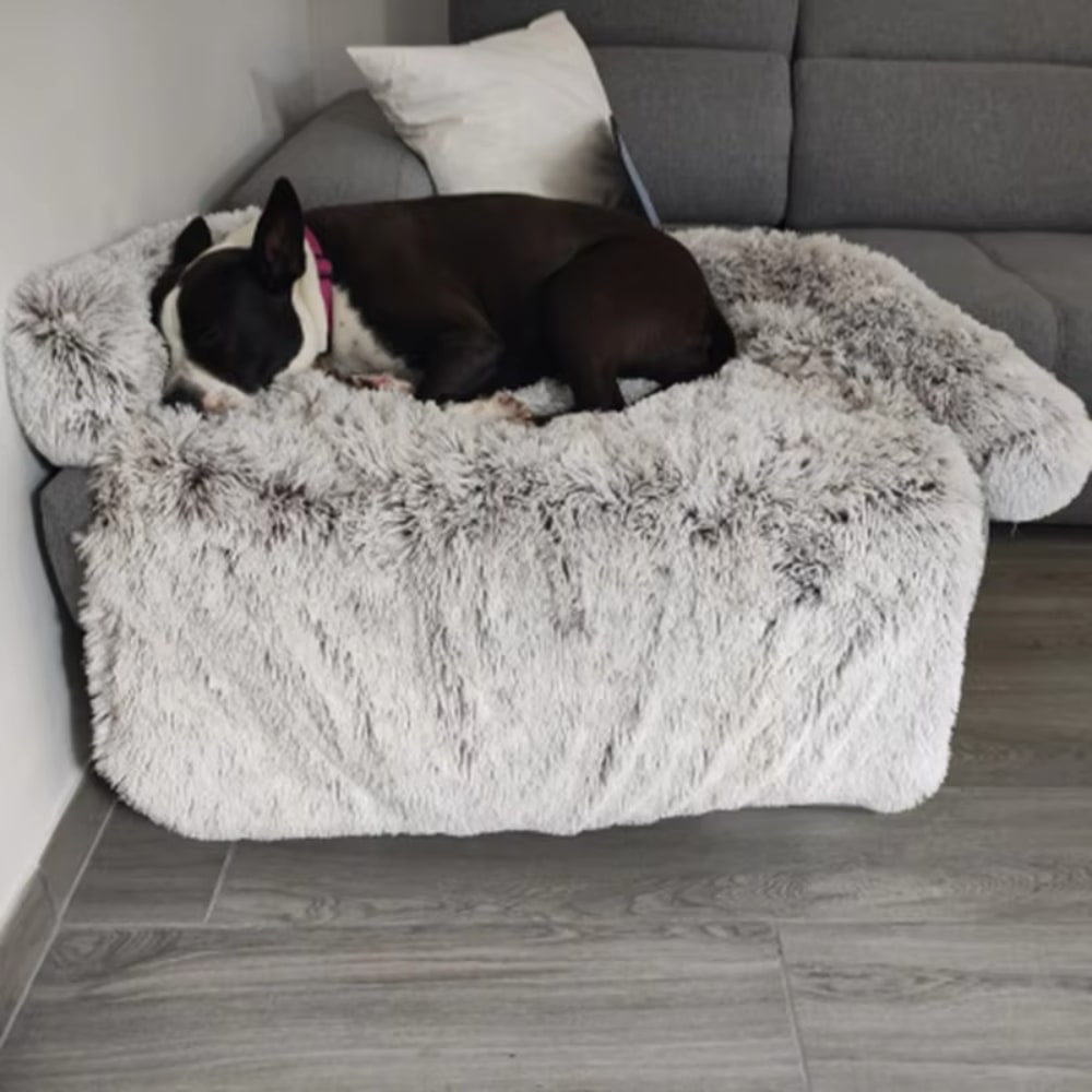 Panier polyvalent pour animaux de compagnie à la maison et dans la voiture